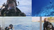 All The Sharks (Image via Netflix)